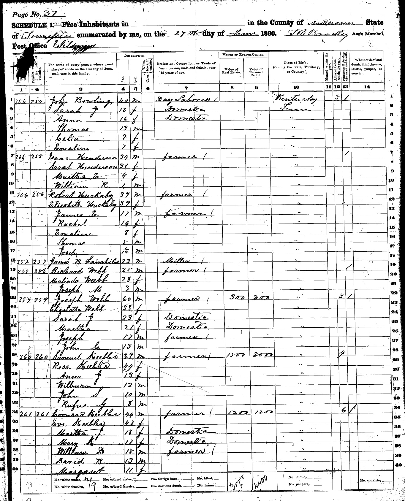 Webb Surname DNA Project